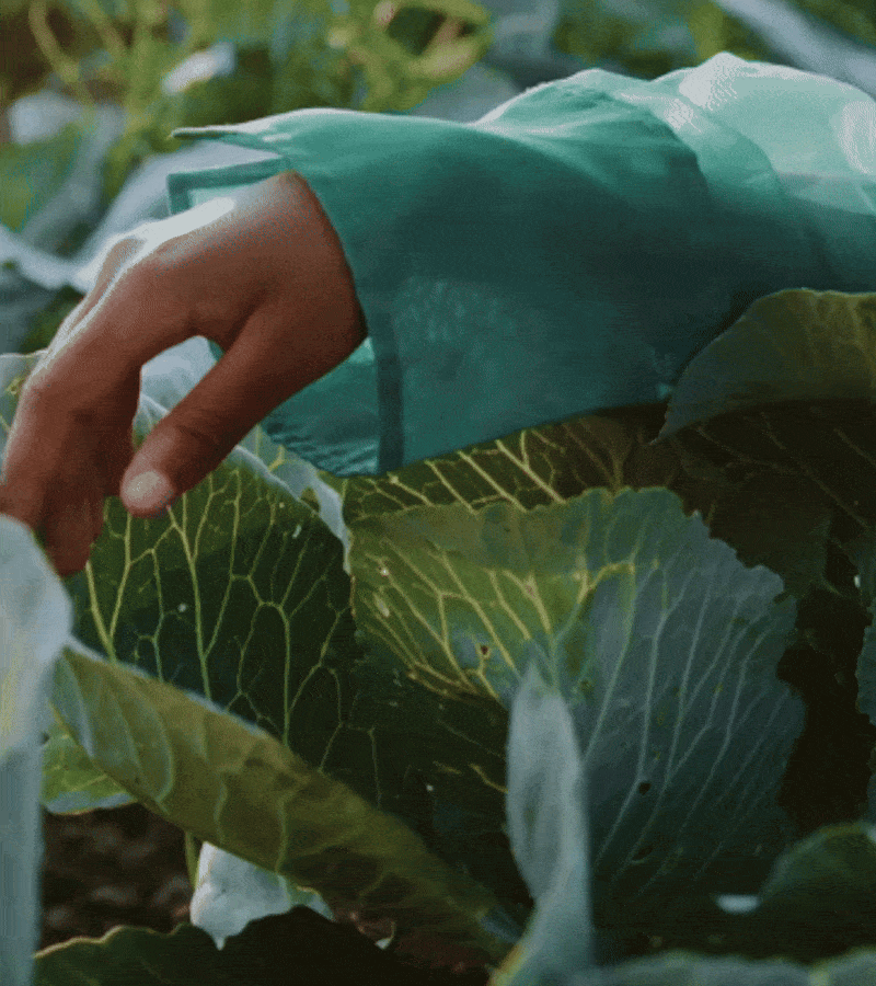 Additional project image 2